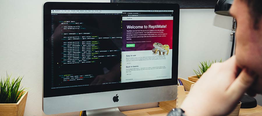 A person looks at a computer screen.