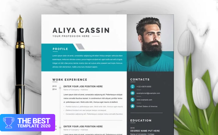 Aliya Resume Template.