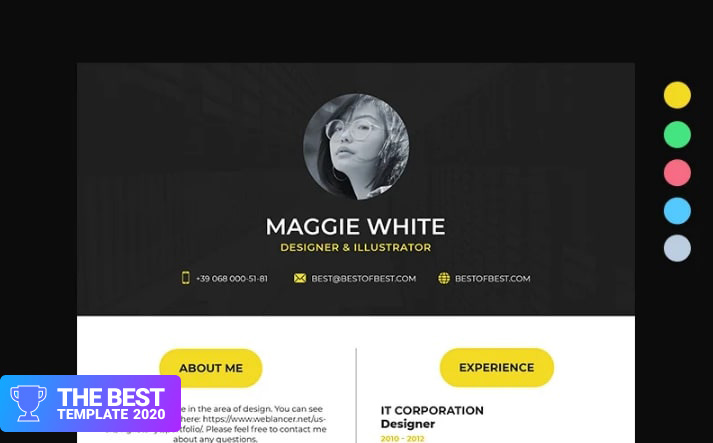 College 2020 Resume Template - digital products award