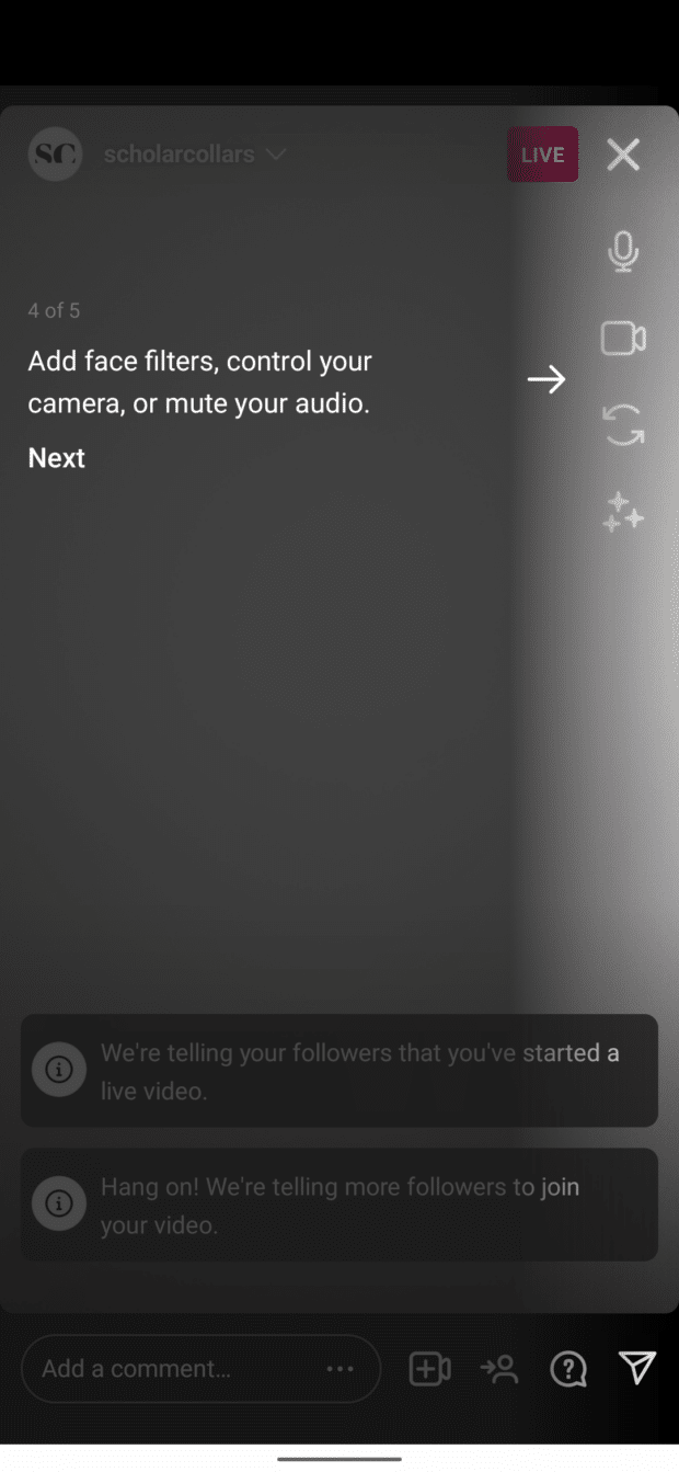 add face filters, control your camera, or mute your audio