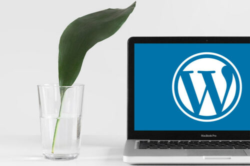 Example from The Keys to Building Stable & Sustainable WordPress Websites