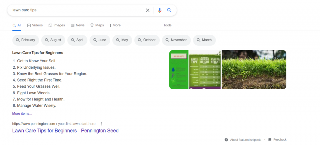 Featured snippet