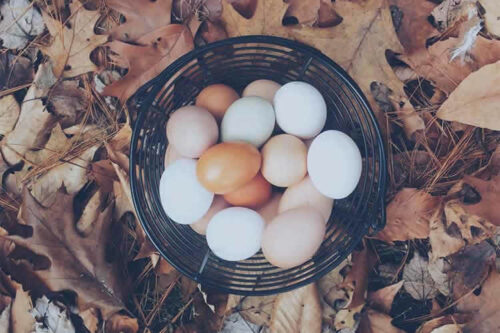 Example from The Importance of Diversifying Your Client Roster
