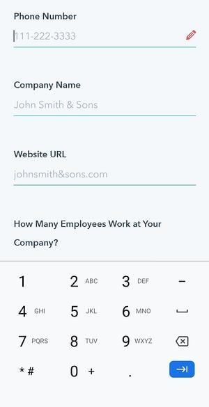 mobile form design, input constraint displaying a numeric keyboard