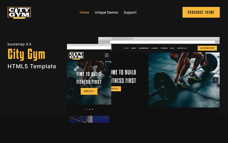 City Gym - Personal Trainer HTML5 Theme.