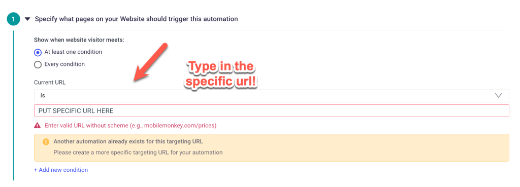 Type in your website URL