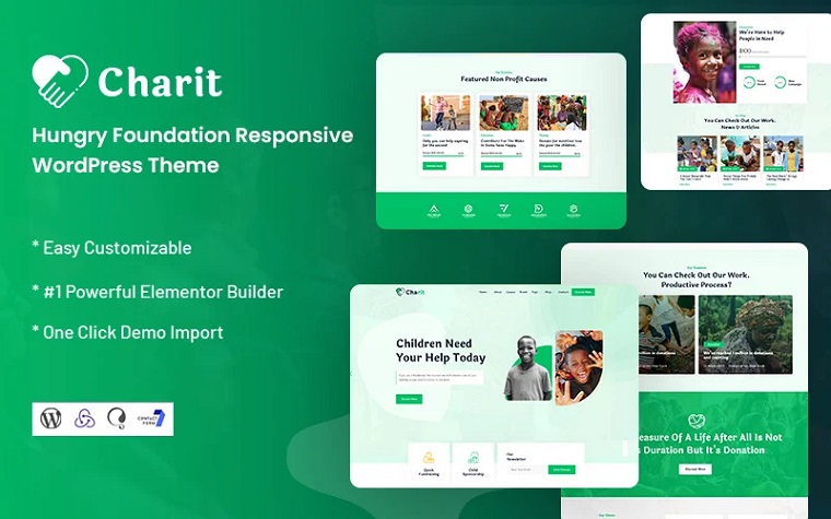 Charit - Hungry Foundation Responsive WordPress Theme.