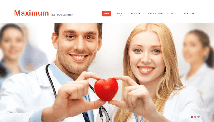 non-profit WordPress themes