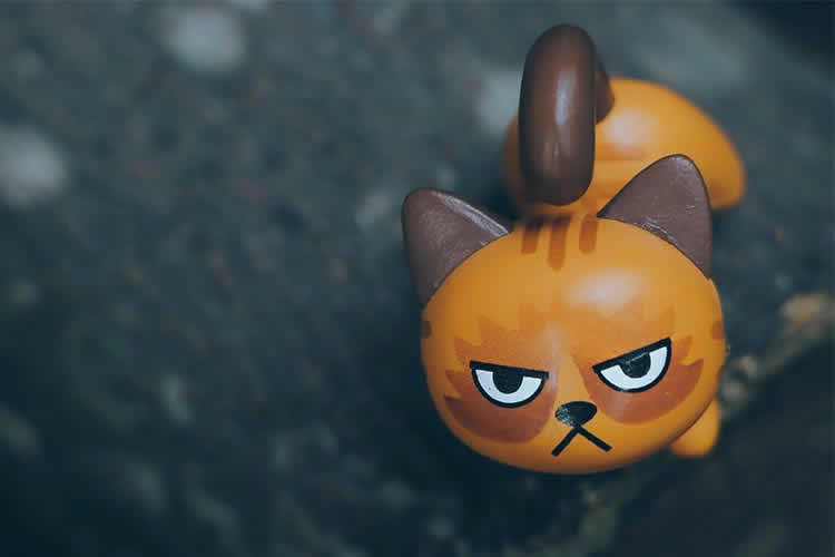 Little Things That Hamper the User Experience