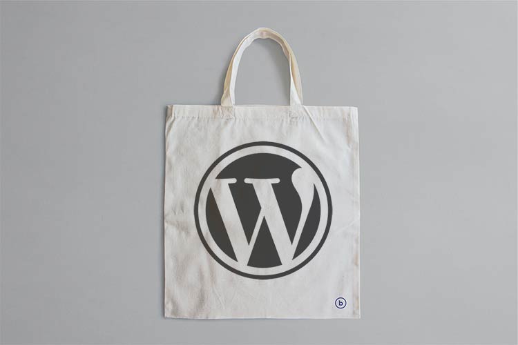 Is That Commercial WordPress Plugin a Good Deal?