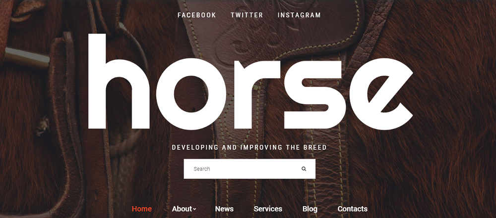 Horse - Horse Farm Animals Website Template