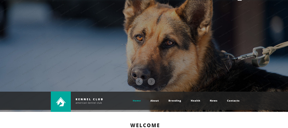 Kennel Club Website Template