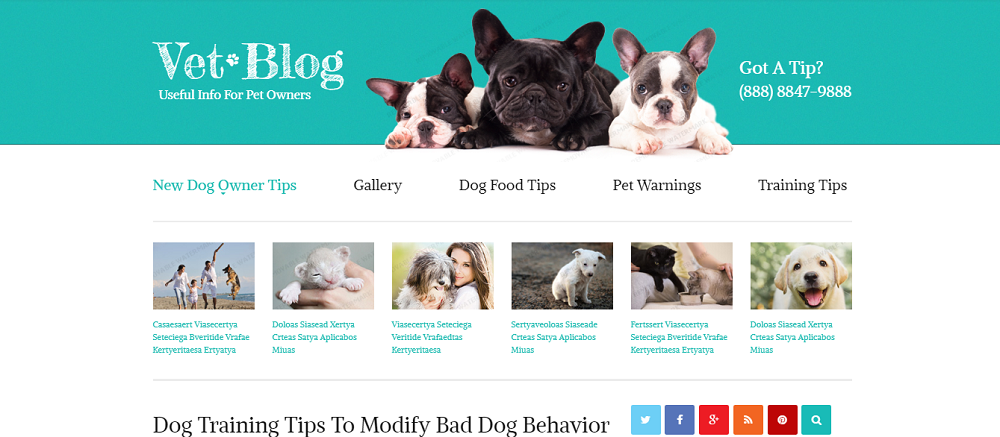 Veterinarian Blog Website Template
