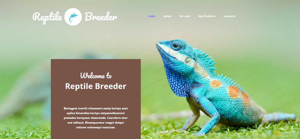 Reptile Breeder Website Template