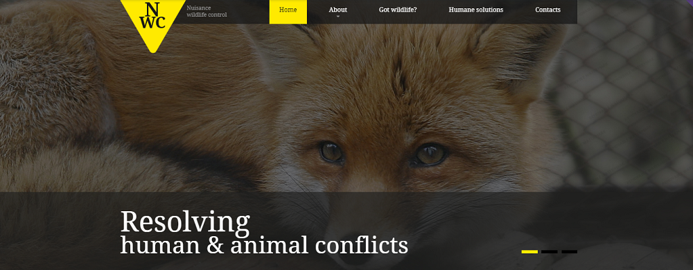 Wild Life Responsive Website Template