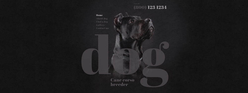 Dog Breeder Website Template