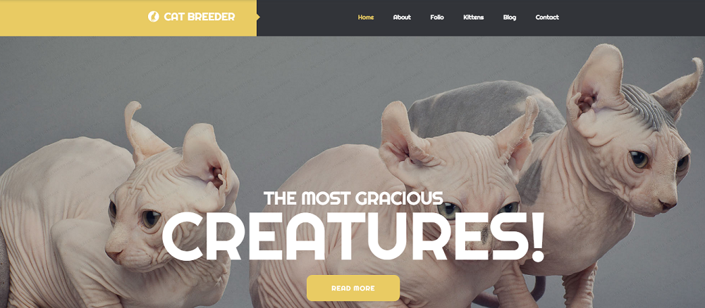 Cat Breeders Website Template