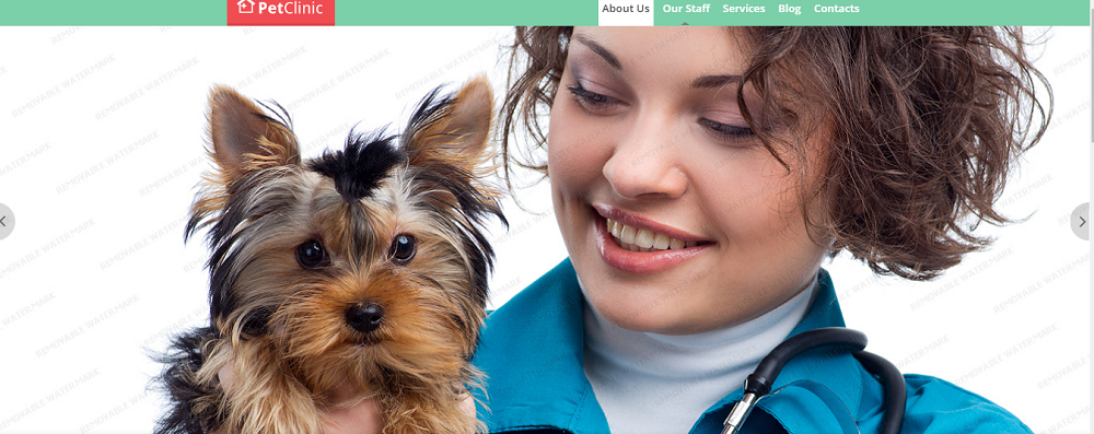 Vet Responsive Website Template