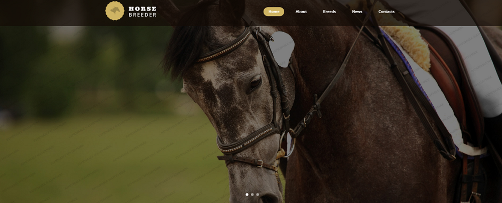 Horse Breeder Website Template