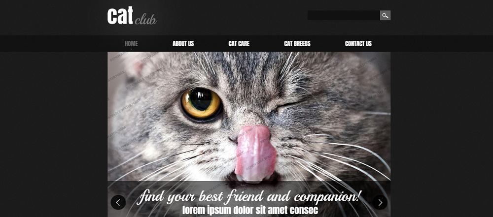 Cat Responsive Website Template