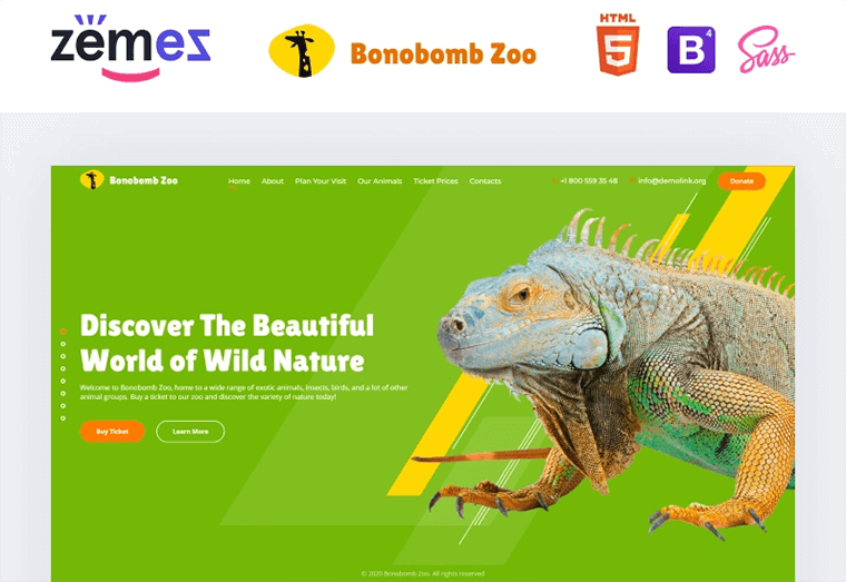 JavaScript animated templates.