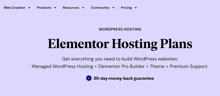 Elementor Hosting.