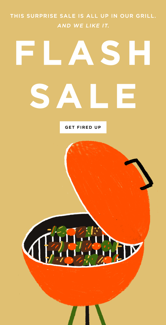 Email example from Milled showing a blinking Flash Sale GIF