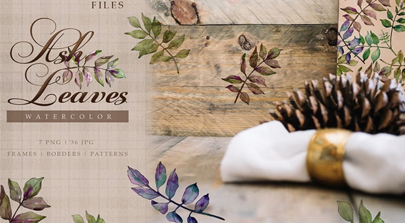 Ash Leaves PNG Watercolor Set Illustration