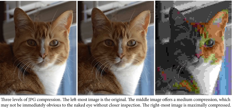 Levels of JPG Compression.