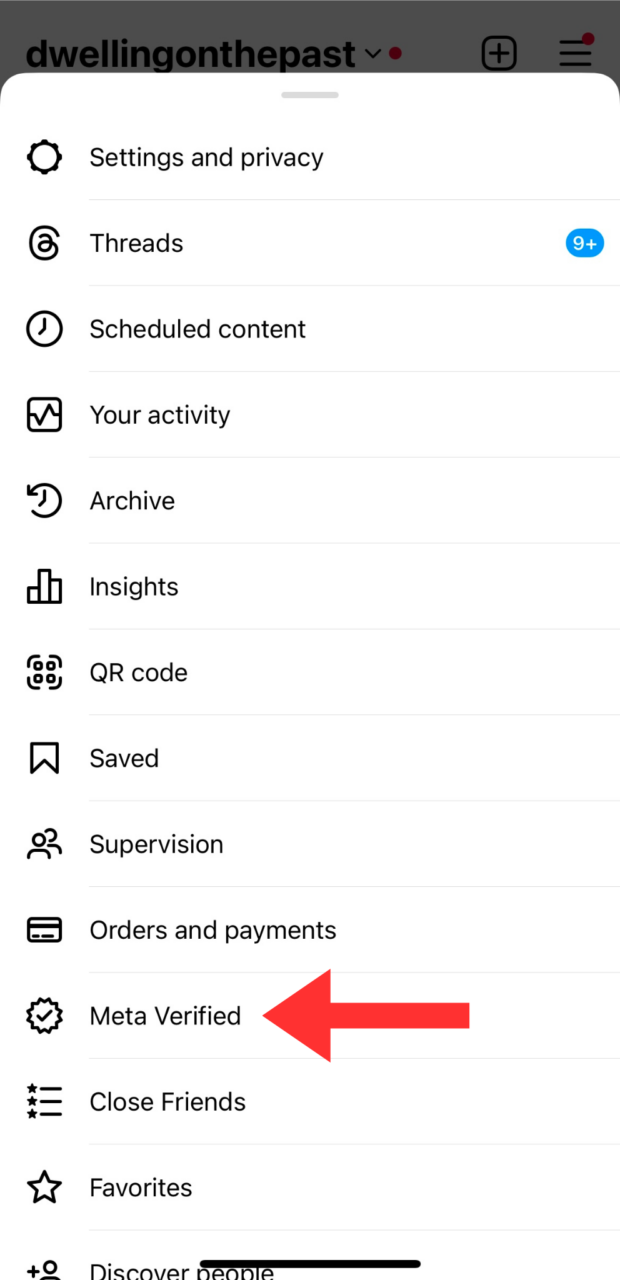 Meta Verified option